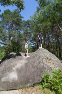 Forêt de Fontainebleau