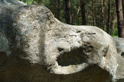 Forêt de Fontainebleau