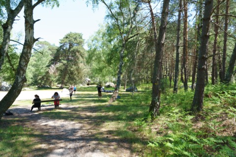 Forêt de Fontainebleau