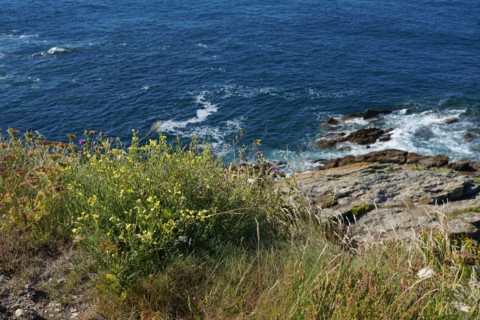 Pointe Saint-Mathieu, North tip of Finistère
