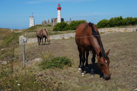 Pointe Saint-Mathieu, North tip of Finistère