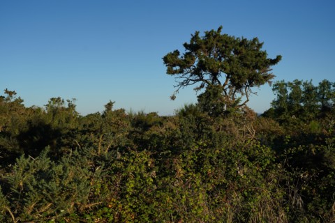 Pointe de Kermorvan, North tip of Finistère
