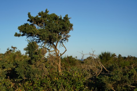 Pointe de Kermorvan, North tip of Finistère