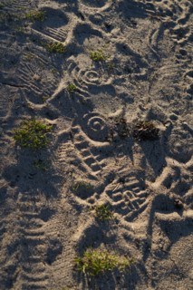 Pointe de Kermorvan, North tip of Finistère, GR34, footprints in the sand