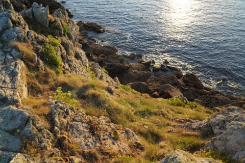 Pointe de Kermorvan, Finistère nord