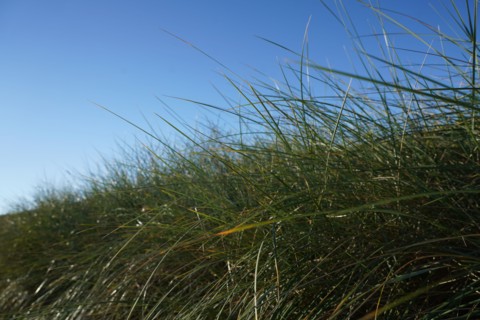 Pointe de Kermorvan, North tip of Finistère