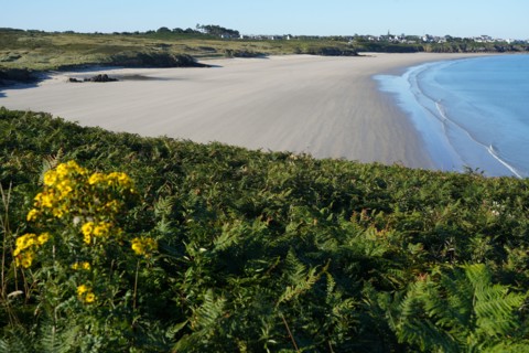 Pointe de Kermorvan, Finistère nord