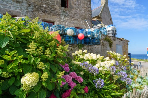 Le Conquet, Finistère nord