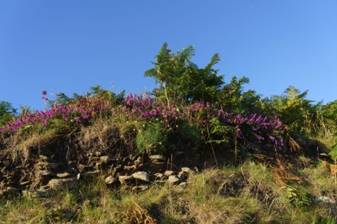 Pointe de Kermorvan, North tip of Finistère
