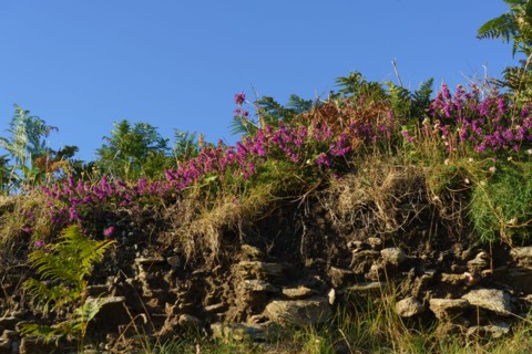 Pointe de Kermorvan, North tip of Finistère