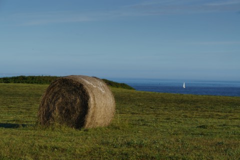 Pointe de Kermorvan, North tip of Finistère