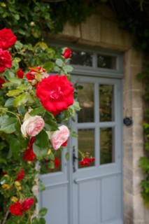 Roses et porte de maison