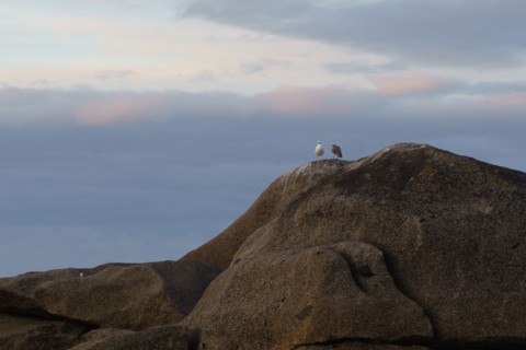Pointe de Trévignon, Finistère sud