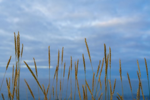 Pointe de Trévignon, Finistère sud