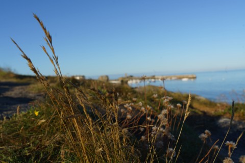 Pointe de Trévignon, Finistère sud