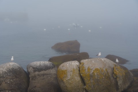 Pointe de Trévignon, Finistère sud