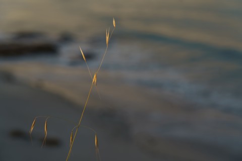 Pointe de Trévignon, Finistère sud