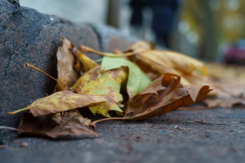Paris, feuilles d'automne et caniveau