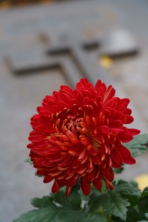 Paris, Montparnasse Cemetery at All Saints' Day