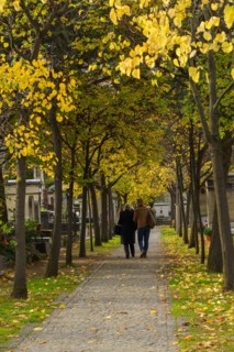 Paris, cimetière du Montparnasse à la Toussaint