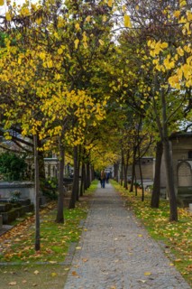 Paris, cimetière du Montparnasse à la Toussaint
