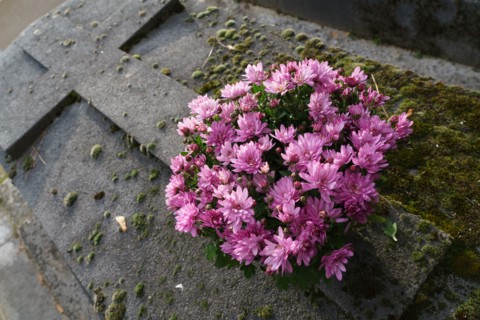 Paris, cimetière du Montparnasse à la Toussaint