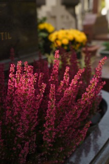 Paris, Montparnasse Cemetery at All Saints' Day
