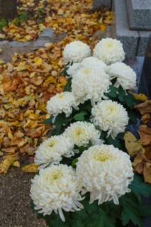 Paris, cimetière du Montparnasse à la Toussaint