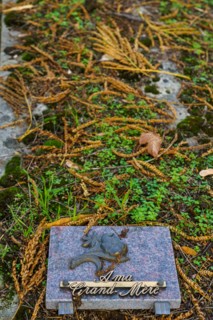 Paris, Montparnasse Cemetery at All Saints' Day