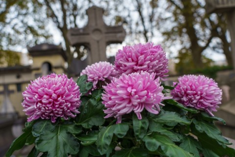 Paris, Montparnasse Cemetery at All Saints' Day