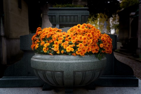 Paris, Montparnasse Cemetery at All Saints' Day