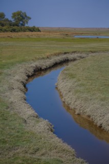 Havre de la Vanlée (Manche department)