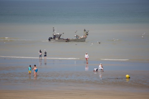 Quiberville-sur-Mer (Seine-Maritime)