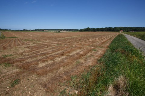 Longueil (Seine-Maritime)