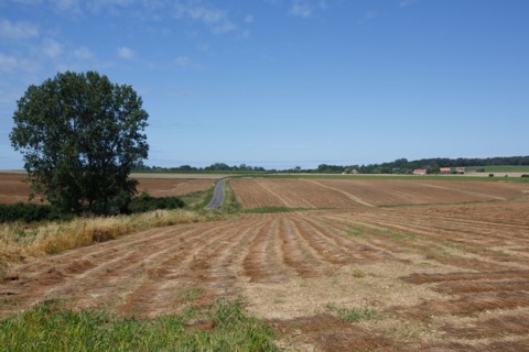 Longueil (Seine-Maritime)