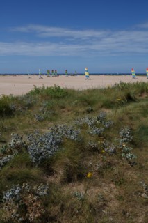 Ouistreham Riva-Bella (Seine-Maritime)