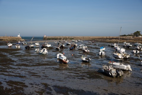 Barfleur (Manche)