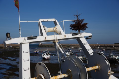 Barfleur (Manche department)