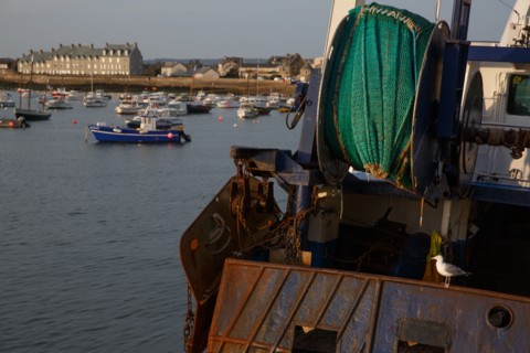 Barfleur (Manche department)