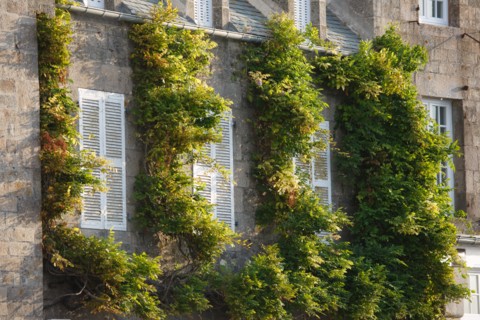 Barfleur (Manche department)