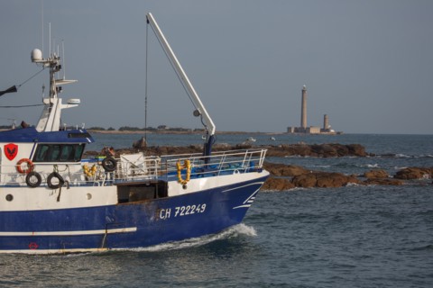 Barfleur (Manche department)