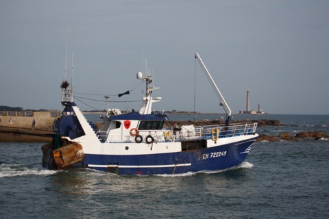 Barfleur (Manche department)