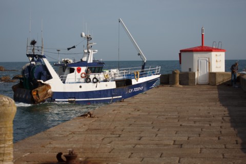 Barfleur (Manche department)