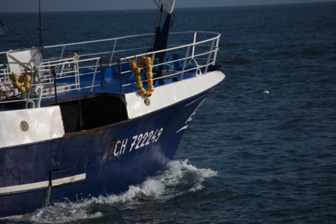 Barfleur (Manche department)