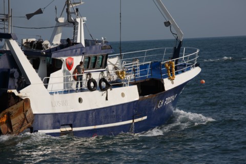 Barfleur (Manche department)
