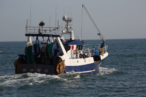Barfleur (Manche department)