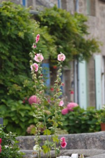 Barfleur (Manche)
