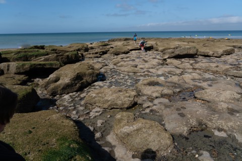 Ambleteuse (Pas-de-Calais)