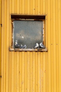 Boulogne-sur-Mer (Pas-de-Calais)