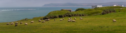 Cap Blanc-Nez (Pas-de-Calais)